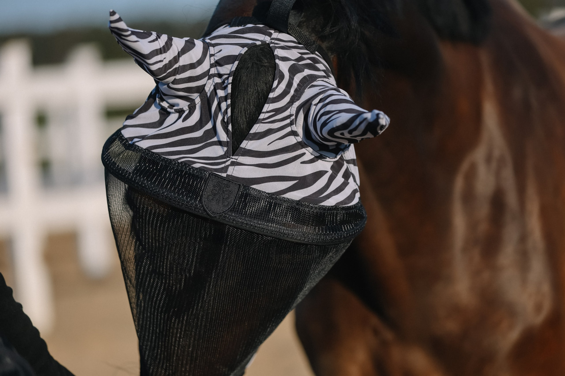 Zebra-print fly mask with monogrammed emblem on a bay horse