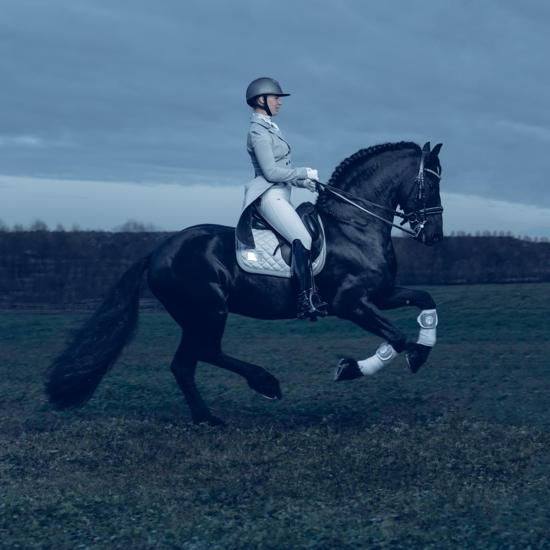 Dressage rider in a tailored pale coat on a dark horse in extended trot across an open field