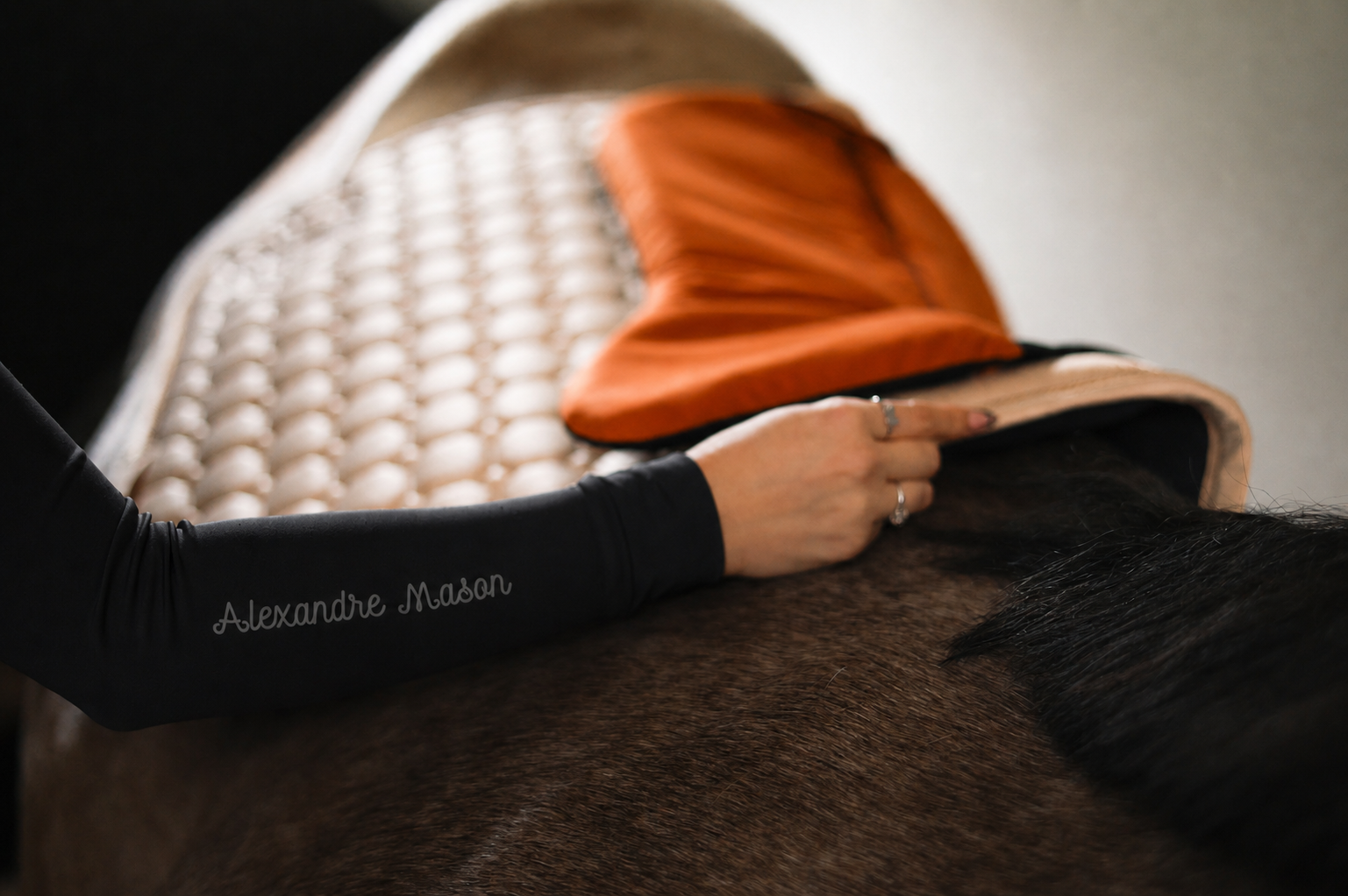 Alexandre Mason saddle pad and shock absorber being fitted on a dark bay horse